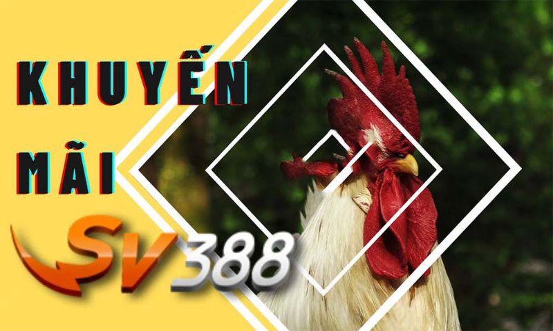 Khuyến mãi SV388 nạp tiền đá gà